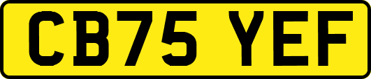 CB75YEF