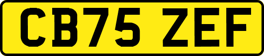 CB75ZEF
