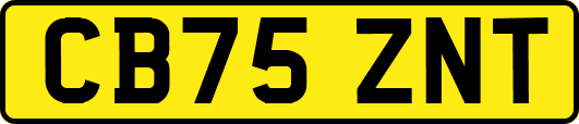 CB75ZNT