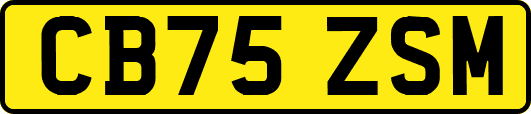 CB75ZSM