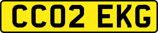 CC02EKG