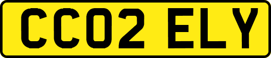 CC02ELY