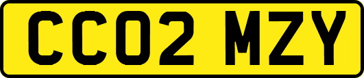 CC02MZY