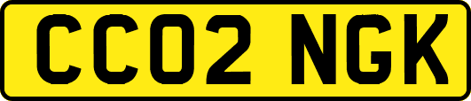 CC02NGK