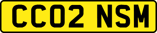 CC02NSM