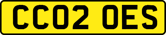 CC02OES