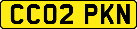CC02PKN