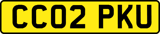 CC02PKU