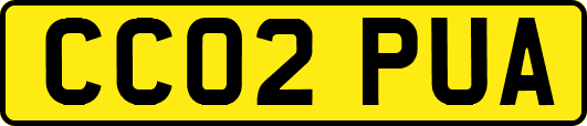 CC02PUA