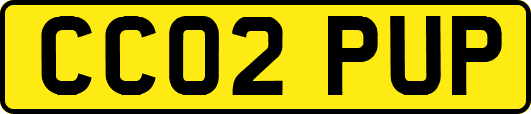CC02PUP