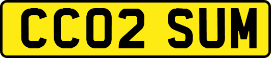 CC02SUM