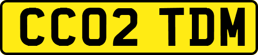 CC02TDM