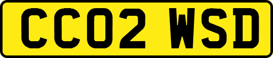 CC02WSD