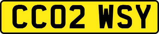 CC02WSY