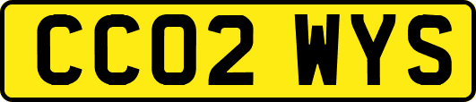 CC02WYS