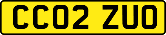 CC02ZUO