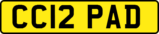 CC12PAD