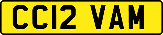 CC12VAM