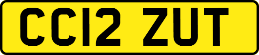 CC12ZUT