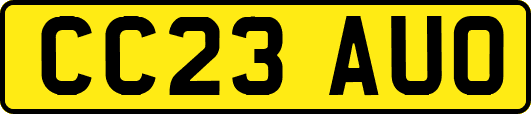 CC23AUO
