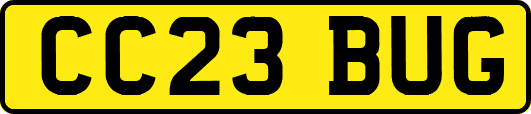 CC23BUG