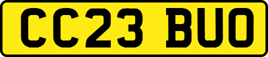 CC23BUO