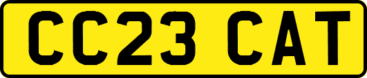 CC23CAT
