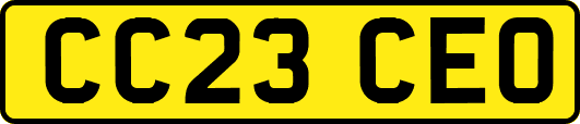 CC23CEO