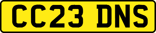 CC23DNS