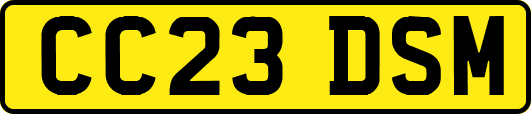 CC23DSM