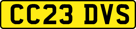 CC23DVS
