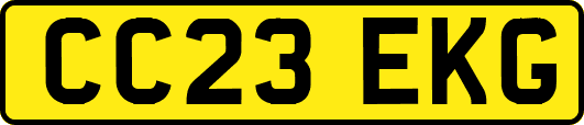 CC23EKG