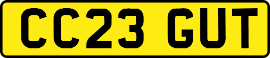 CC23GUT