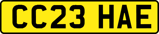 CC23HAE