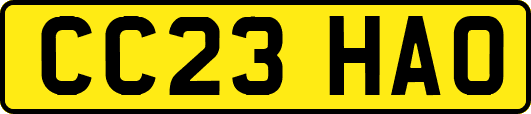 CC23HAO