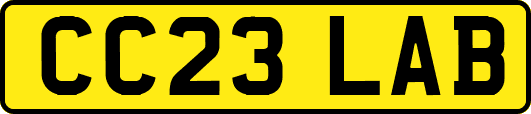 CC23LAB