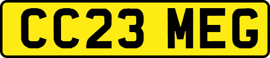 CC23MEG