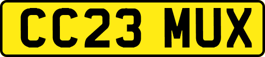 CC23MUX