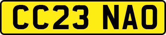 CC23NAO