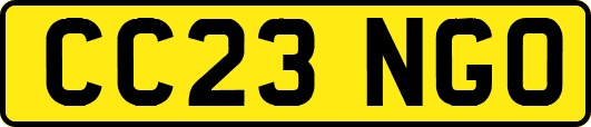 CC23NGO