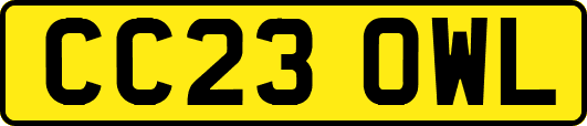 CC23OWL