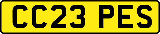 CC23PES