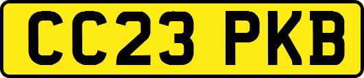 CC23PKB