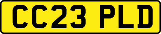 CC23PLD