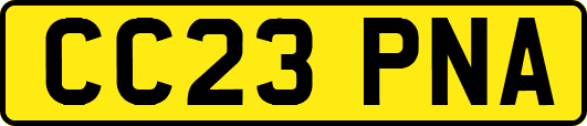 CC23PNA