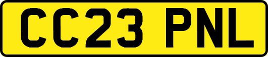 CC23PNL