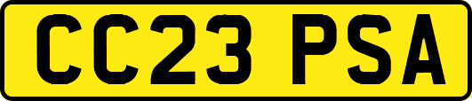 CC23PSA