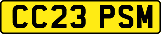 CC23PSM