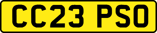 CC23PSO