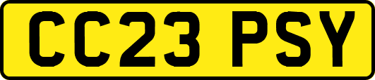 CC23PSY